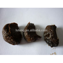 Китай ферментированный черный чеснок с высоким качеством для продажи